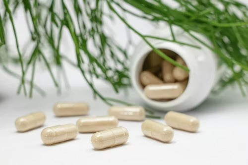 Gut Health and Your Skin: The Connection You Cannot Afford to Ignore